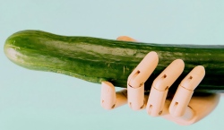 Cartografierea penisului – Harta secretă a plăcerii